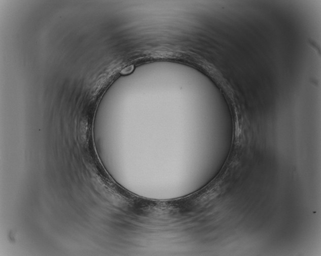 X0000103450201200809261825