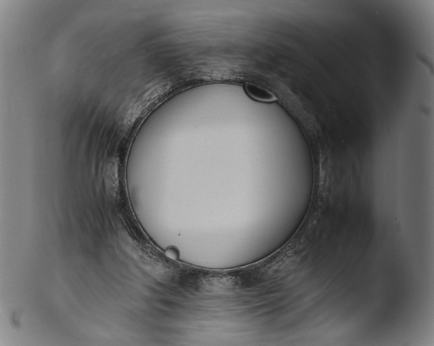 X0000103450202200809261825