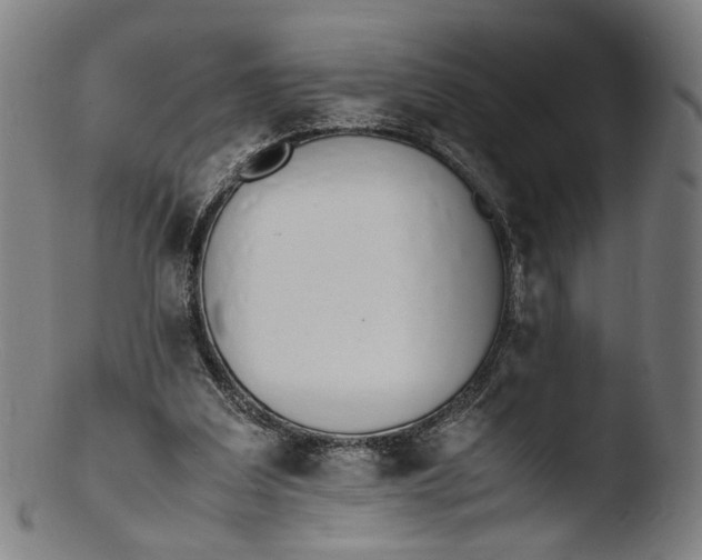 X0000103450203200809261825