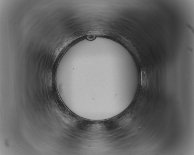 X0000103450204200809261825