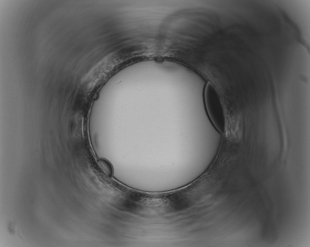 X0000103450205200809261825