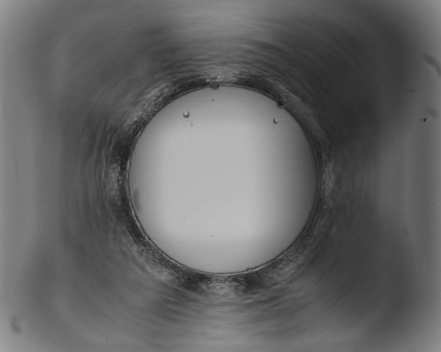 X0000103450209200809261825