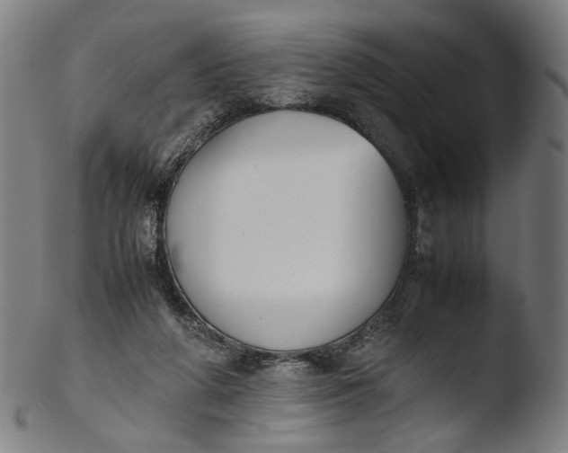 X0000103450210200809261824