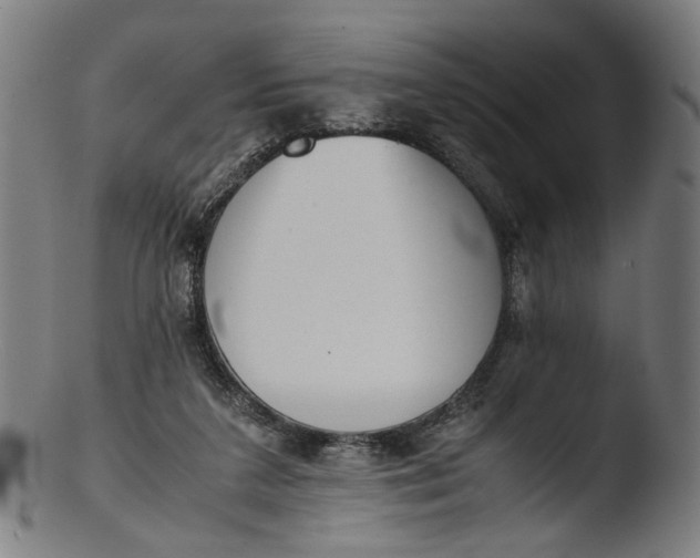 X0000103450211200809261824