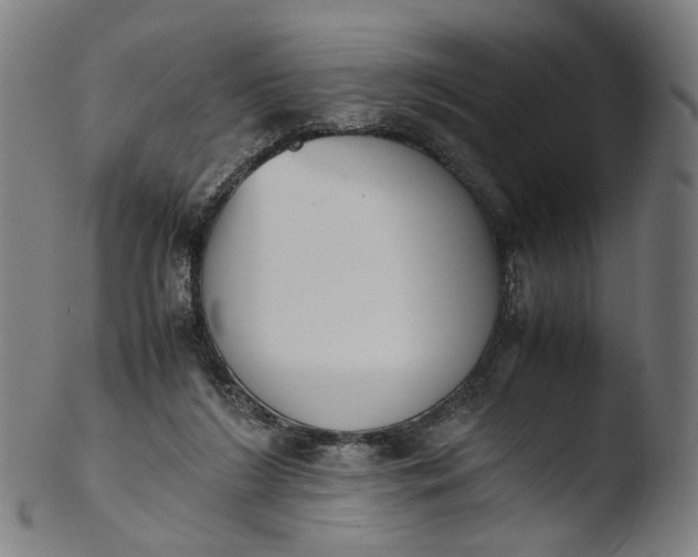 X0000103450212200809261824