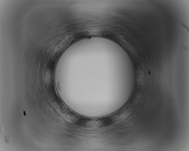 X0000103450213200809261824