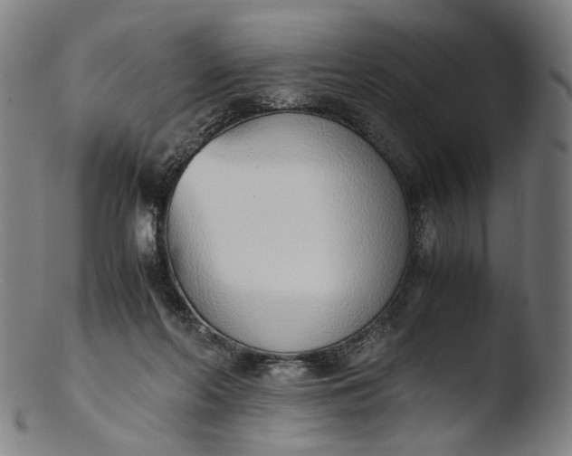 X0000103450214200809261824