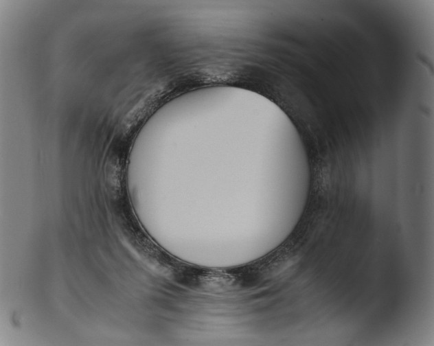 X0000103450215200809261824