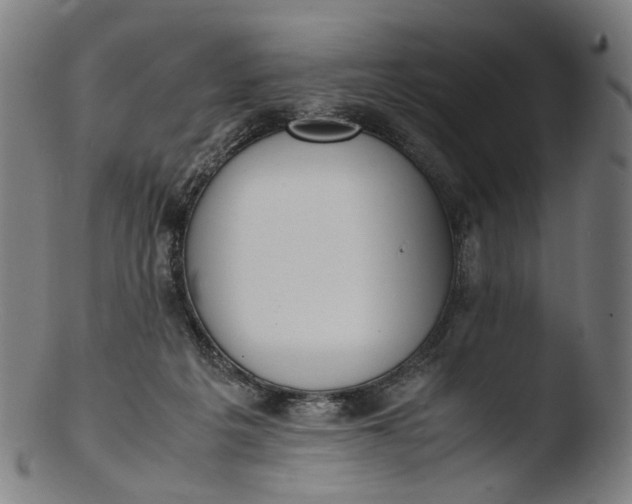 X0000103450217200809261824