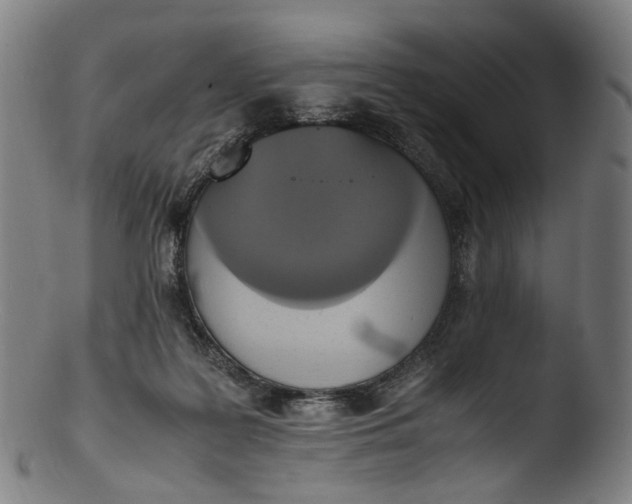 X0000103450219200809261824