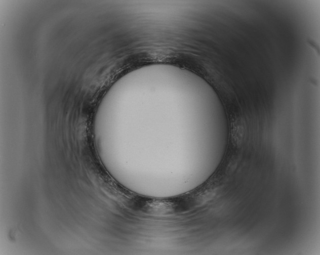 X0000103450221200809261824