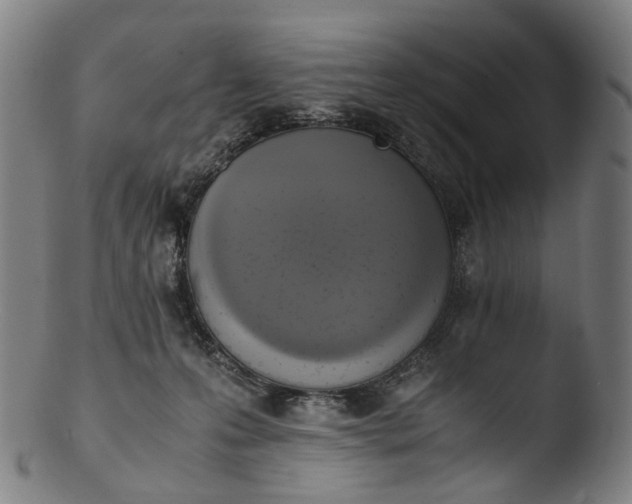 X0000103450223200809261824