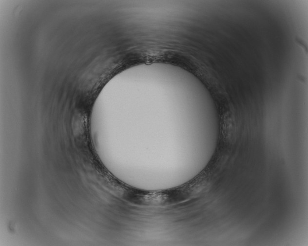 X0000103450225200809261824