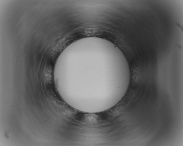 X0000103450226200809261824