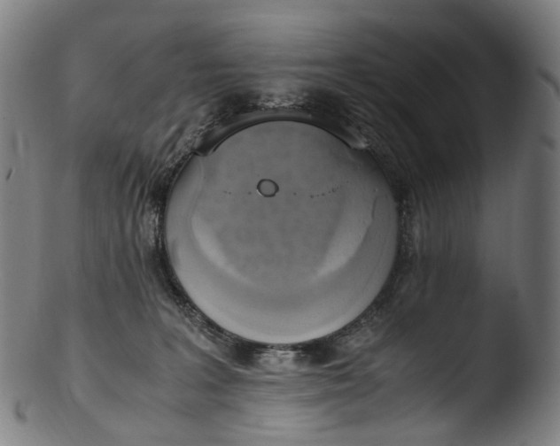 X0000103450227200809261824