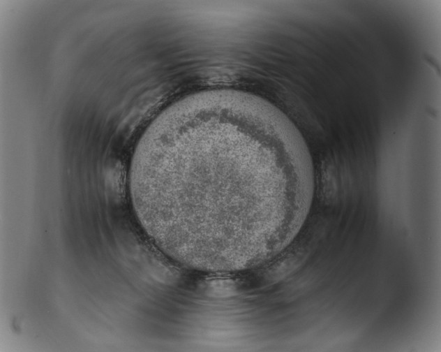 X0000103450228200809261824