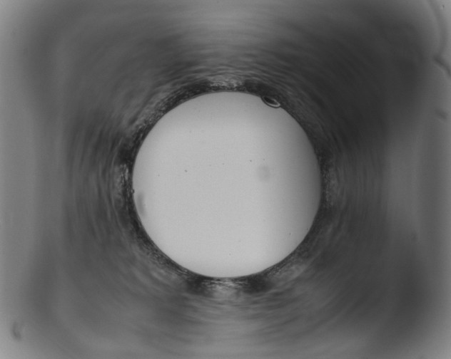 X0000103450229200809261824