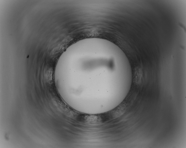 X0000103450230200809261824