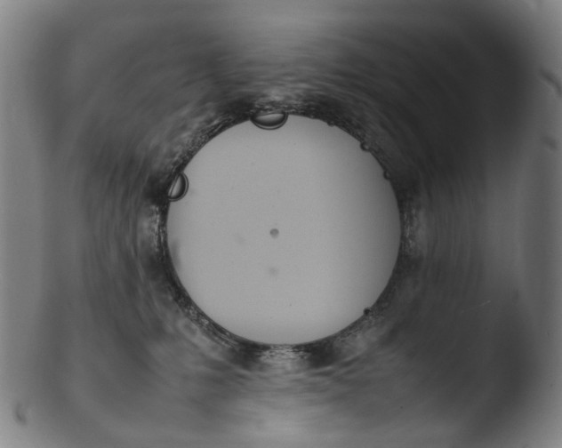 X0000103450231200809261824