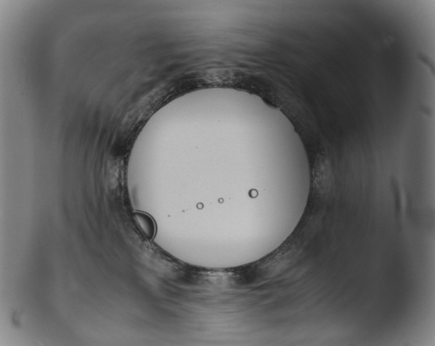 X0000103450233200809261824