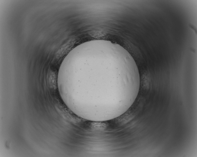 X0000103450234200809261824