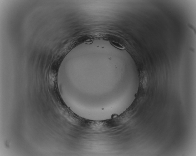 X0000103450235200809261824