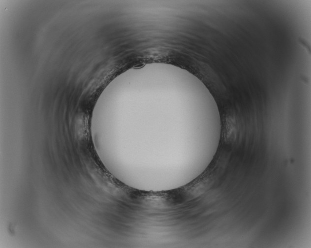 X0000103450236200809261824