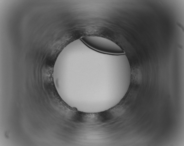 X0000103450237200809261824