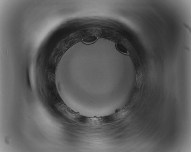 X0000103450239200809261824