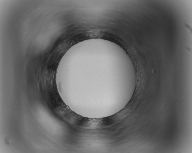 X0000103450240200809261824