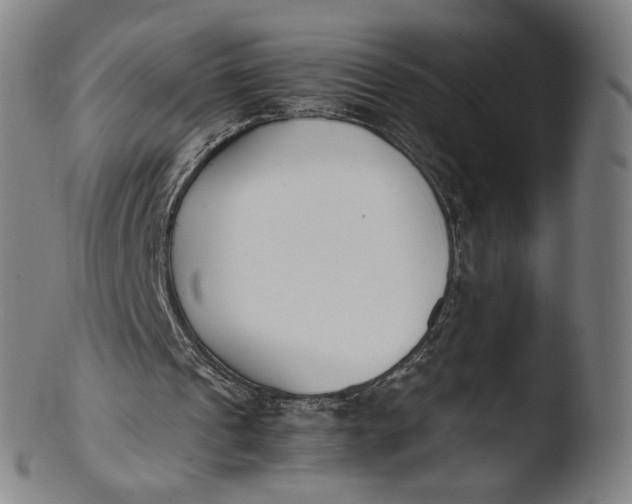 X0000103450241200809261823