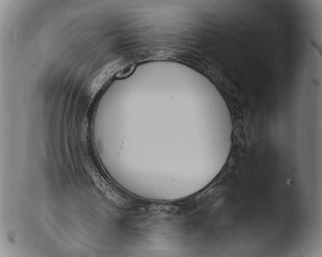 X0000103450242200809261823