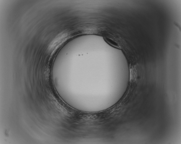 X0000103450243200809261823