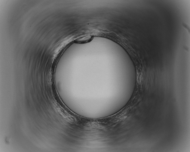 X0000103450244200809261823