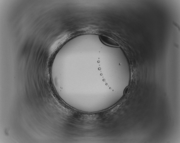 X0000103450245200809261823