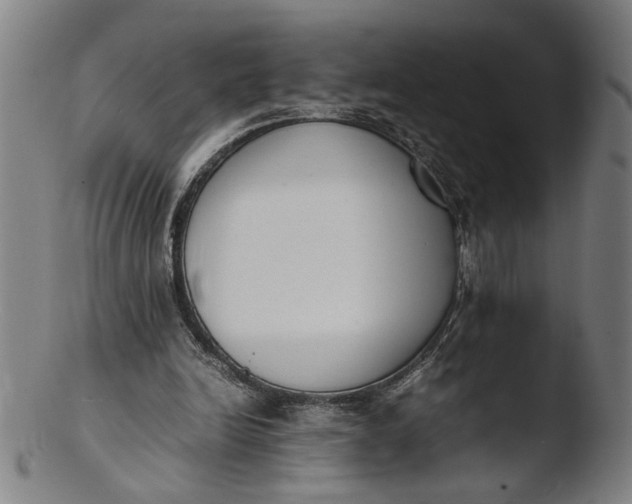 X0000103450246200809261823