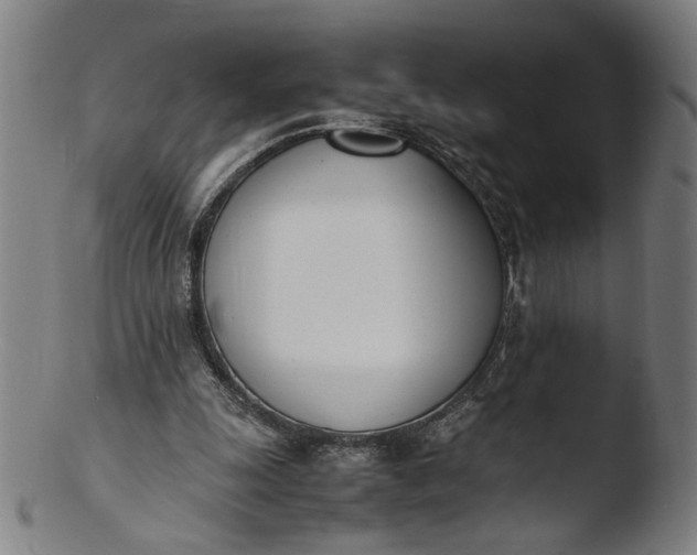 X0000103450247200809261823