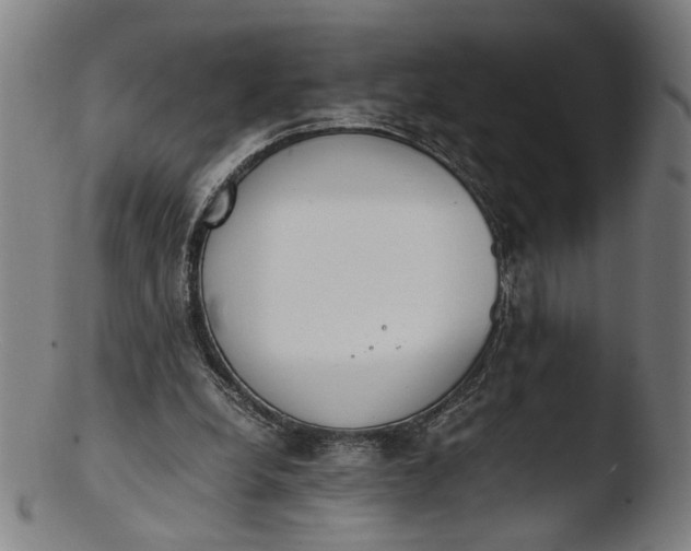 X0000103450248200809261824