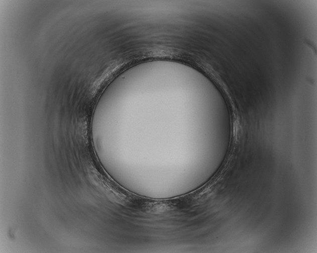 X0000103450249200809261824