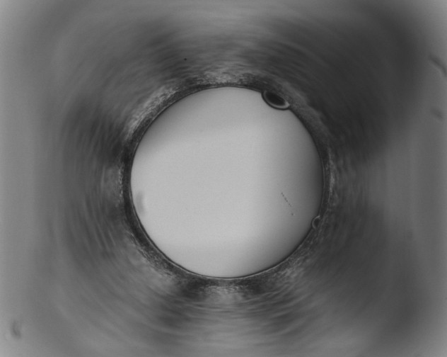 X0000103450250200809261824