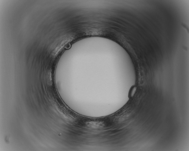 X0000103450251200809261824