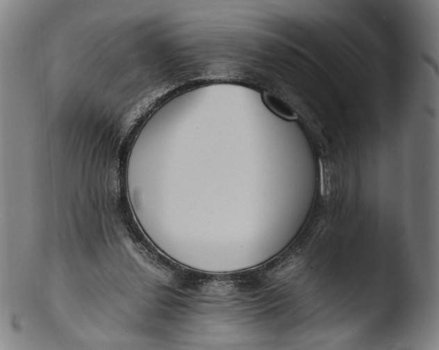 X0000103450252200809261824