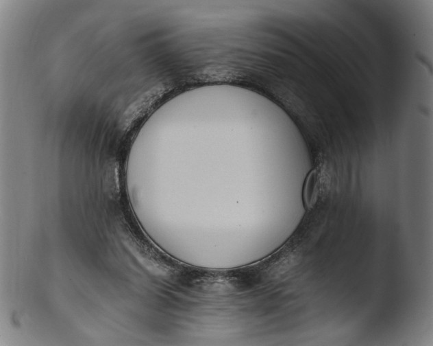 X0000103450254200809261824