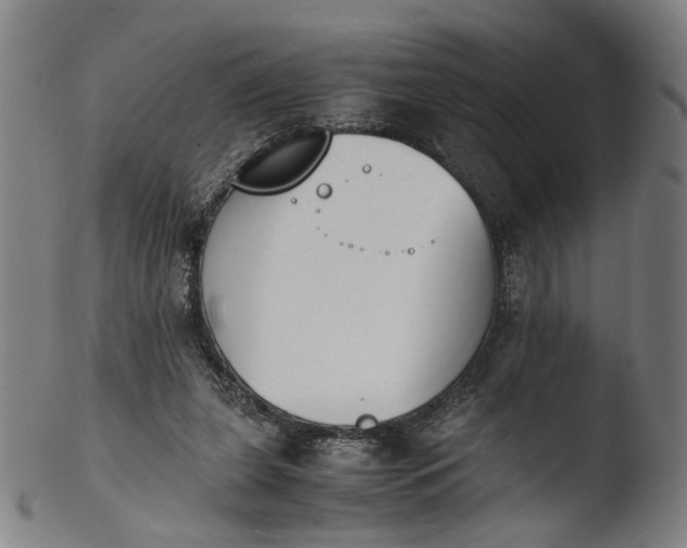 X0000103450255200809261824