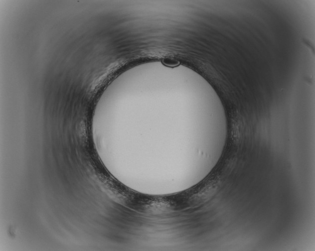 X0000103450256200809261824