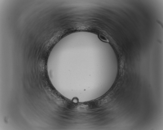 X0000103450257200809261824