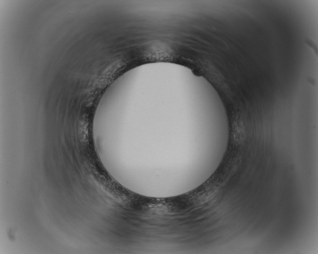 X0000103450259200809261824