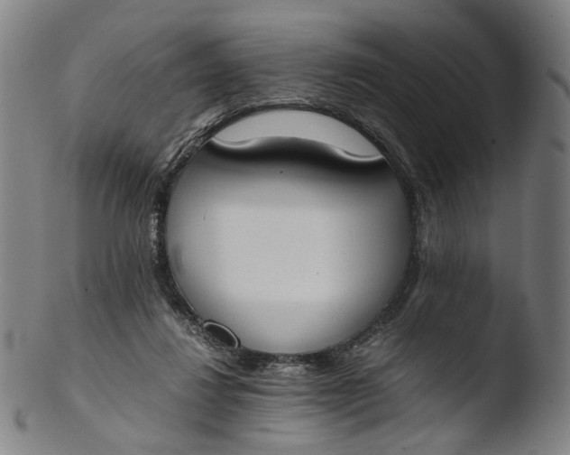 X0000103450260200809261824