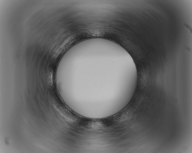 X0000103450262200809261824