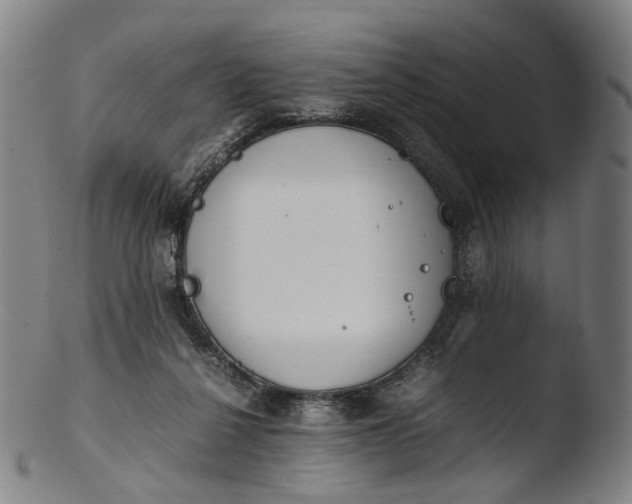 X0000103450264200809261824